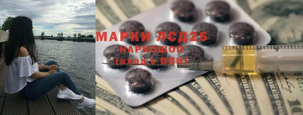 дмт Богданович