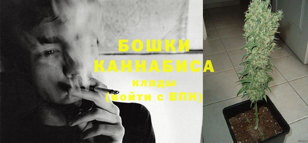 твердый Белокуриха