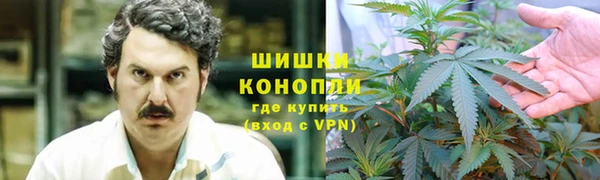 бошки Богородицк