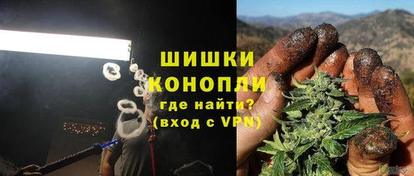 бошки Богородицк